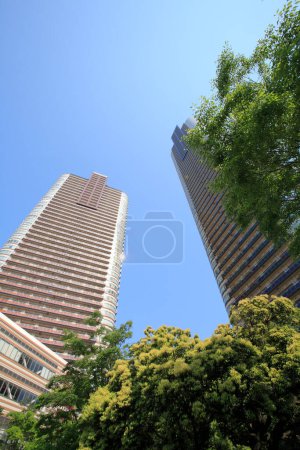 Foto de Vista de ángulo bajo de edificios modernos y árboles verdes en la ciudad - Imagen libre de derechos
