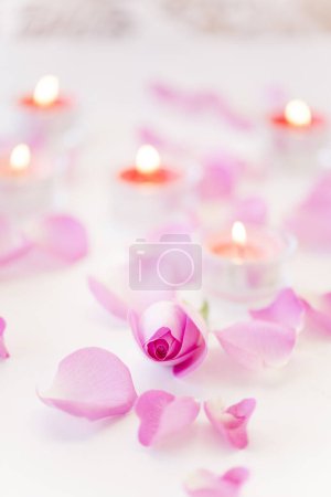 Foto de Hermosas velas encendidas con pétalos de flores rosadas sobre fondo blanco - Imagen libre de derechos