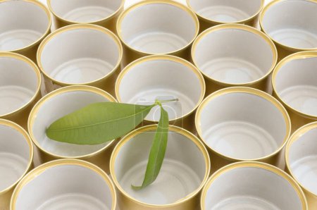 Foto de Vista de cerca de latas vacías y hojas verdes sobre fondo blanco - Imagen libre de derechos