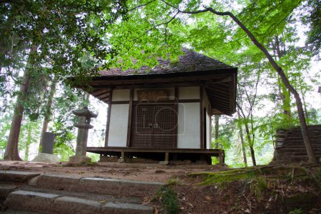 Foto de Plano escénico de hermoso santuario japonés antiguo rodeado de árboles forestales - Imagen libre de derechos