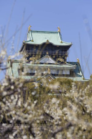 Téléchargez les photos : Plan pittoresque du magnifique temple noble japonais antique avec sakura florissant au premier plan - en image libre de droit