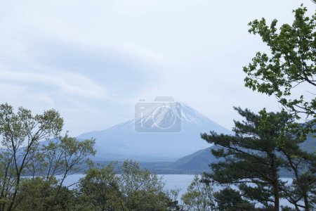 Téléchargez les photos : Beau paysage avec lac, arbres forestiers et montagne Fuji au Japon - en image libre de droit