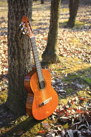 Téléchargez les photos : Guitare acoustique en automne feuilles à l'automne sur fond nature - en image libre de droit