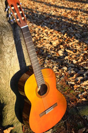 Photo for Acoustic guitar in autumn leaves at autumn on nature background - Royalty Free Image