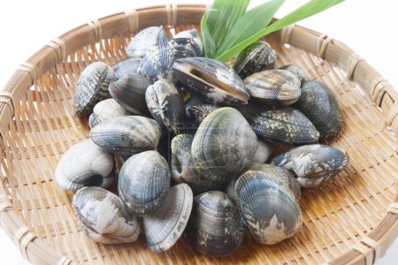 Photo for Clams in a bamboo bowl - Royalty Free Image