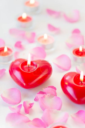Photo for Beautiful burning candles with pink flower petals on white background - Royalty Free Image