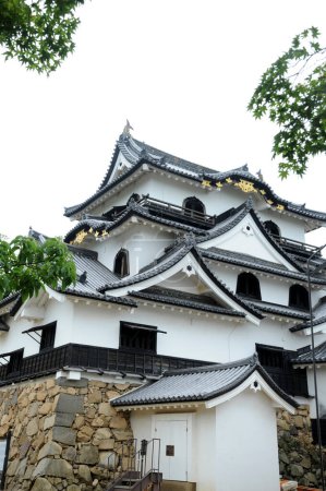 Der Turm der Burg von Hikone