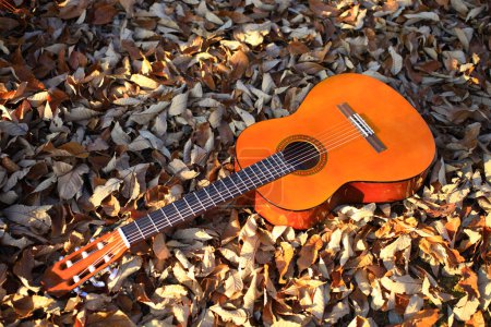 Téléchargez les photos : Guitare acoustique à l'automne avec des feuilles sur fond nature - en image libre de droit