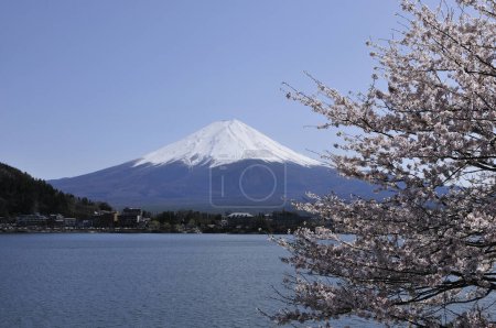 Photo for Beautiful landscape of mountain fuji - Royalty Free Image