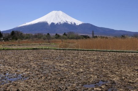 Téléchargez les photos : Beau paysage de montagne fuji - en image libre de droit
