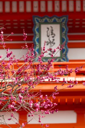 Téléchargez les photos : Plan artistique d'un ancien sanctuaire japonais pittoresque - en image libre de droit
