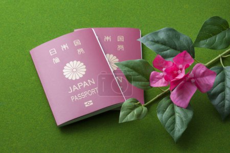 Téléchargez les photos : Passeports japonais et fleurs tropicales rouges, concept de vacances - en image libre de droit