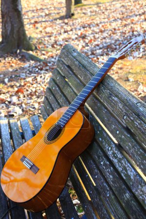 Téléchargez les photos : Guitare acoustique à l'automne sur fond nature - en image libre de droit