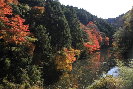 Téléchargez les photos : Paysage d'automne avec des feuilles colorées et lac au Japon - en image libre de droit