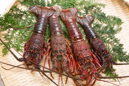 Téléchargez les photos : Vue rapprochée de délicieux fruits de mer. homards cuisson dans un bol en osier - en image libre de droit