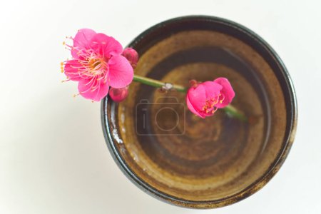 Téléchargez les photos : Belles fleurs de fleur de cerisier et bol d'eau sur fond blanc. - en image libre de droit