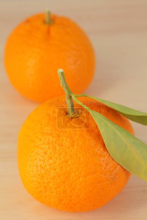 Téléchargez les photos : Vue rapprochée d'oranges fraîches mûres sur table en bois - en image libre de droit