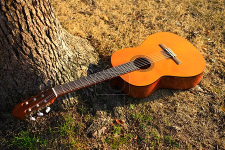Foto de Guitarra acústica con un árbol sobre un fondo de madera - Imagen libre de derechos