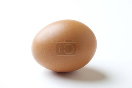 Photo for Brown egg on white background. - Royalty Free Image