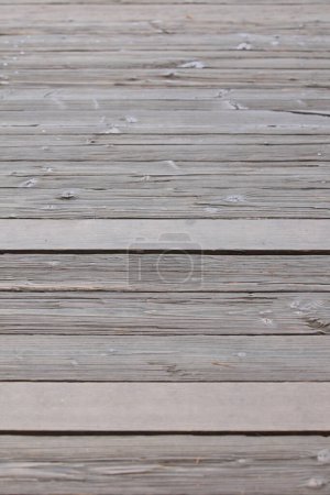 Photo for Grey textured wooden background, wood floor - Royalty Free Image