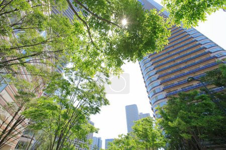 Photo for Low angle view of tall modern buildings and green trees in city - Royalty Free Image