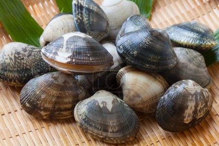 Photo for Seafood on a bamboo mat. Fresh clams - Royalty Free Image