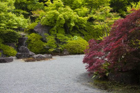 Téléchargez les photos : Sentier dans le jardin japonais vert - en image libre de droit