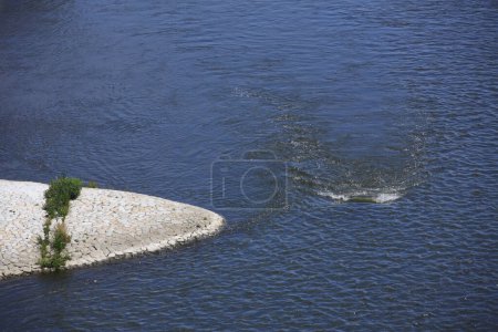 Photo for Water surface of a river with stones - Royalty Free Image