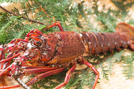 Téléchargez les photos : Vue rapprochée de délicieux fruits de mer. cuisson du homard dans un bol en bambou - en image libre de droit