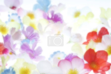 Photo for Abstract flower background. floral background with flowers. - Royalty Free Image
