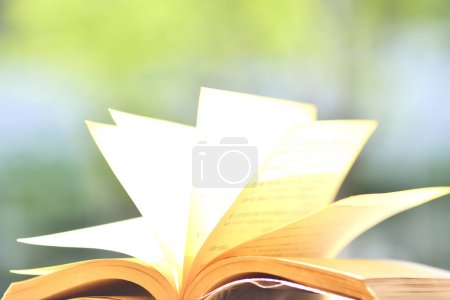 Photo for Opened book over blurred background, education concept - Royalty Free Image