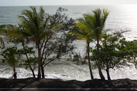 Foto de Hermosa playa tropical con palmeras, olas y mar - Imagen libre de derechos