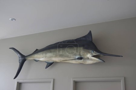 Foto de Tiburón grande en la sala de estar en una casa moderna - Imagen libre de derechos