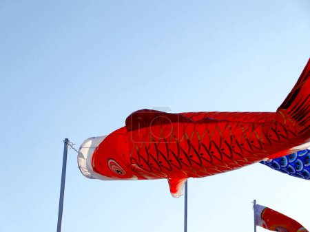 Koi carp fish with pole on the blue sky background