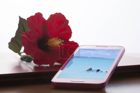 Téléchargez les photos : Téléphone portable avec rose rouge et fond de mer. - en image libre de droit
