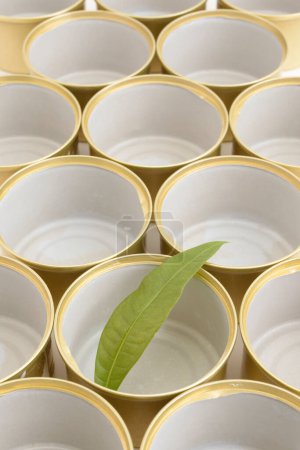 Foto de Vista de cerca de latas vacías y hoja verde sobre fondo blanco - Imagen libre de derechos