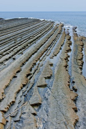 Téléchargez les photos : Photo de rangées naturelles uniques de roches volcaniques remplies d'eau de mer à marée basse à Miyazaki, Japon. - en image libre de droit