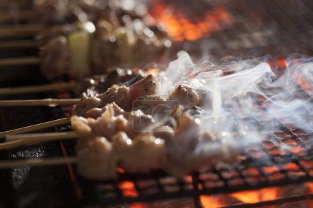 Photo for Close-up view of skewers with delicious grilled meat and vegetables on barbecue, close-up - Royalty Free Image