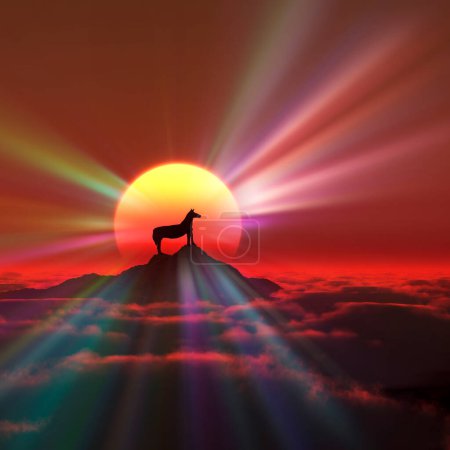 Photo for Black silhouette of horse on sunset background - Royalty Free Image