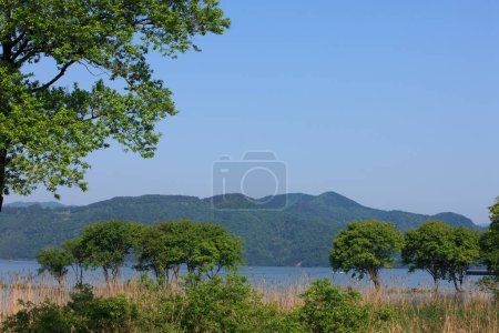 Foto de Paisaje escénico con lago y hermosos árboles verdes - Imagen libre de derechos