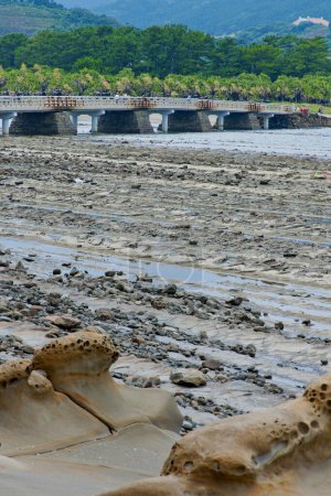 Photo of unique, natural rows of volcanic rocks filled with sea water at low tide in Miyazaki, Japan