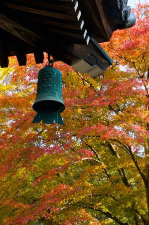 Photo for Autumn bloom in the park of Japan - Royalty Free Image