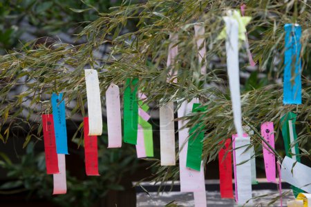 Foto de Ramas de árboles decoradas con cintas de colores, vista diurna de la decoración navideña - Imagen libre de derechos