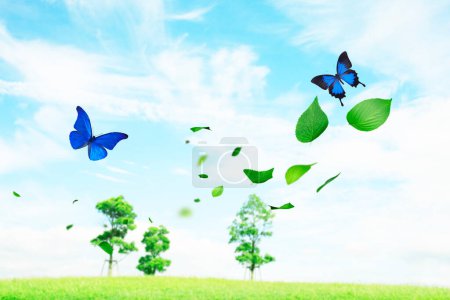 Photo for Green meadow with trees and butterflies, ecology concept - Royalty Free Image