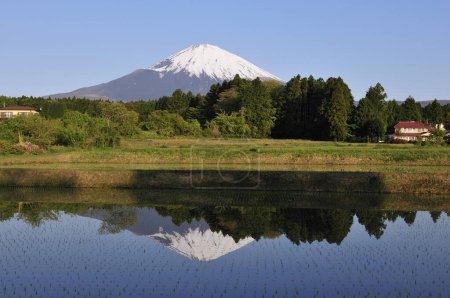 Téléchargez les photos : Belle vue Mt. Fuji avec neige, ciel bleu - en image libre de droit