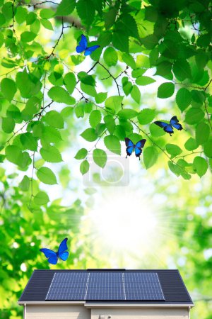 Téléchargez les photos : Feuilles vertes, papillons et panneaux solaires sur le toit de la maison - en image libre de droit