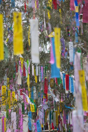 Téléchargez les photos : Branches d'arbres décorées avec des rubans colorés, vue de jour de la décoration de vacances - en image libre de droit