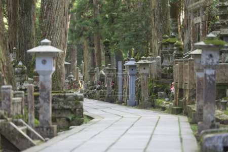Photo for Okunoin ancient Buddhist cemetery in Koyasan, Japan - Royalty Free Image