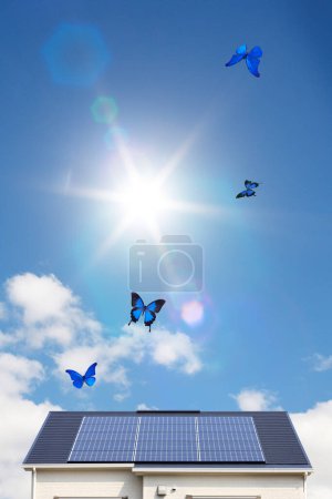 Téléchargez les photos : Papillons et panneaux solaires sur le toit de la maison - en image libre de droit