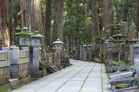  Ancien cimetière bouddhiste Okunoin à Koyasan, Japon